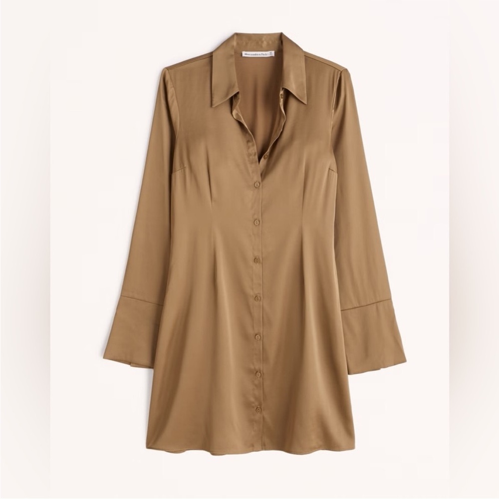 Abercrombie Brown Button Down Dress